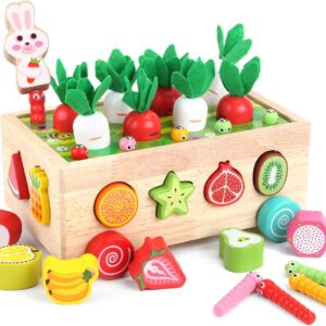 Colorful Wooden Fruit and Vegetable Shape Sorting Toy